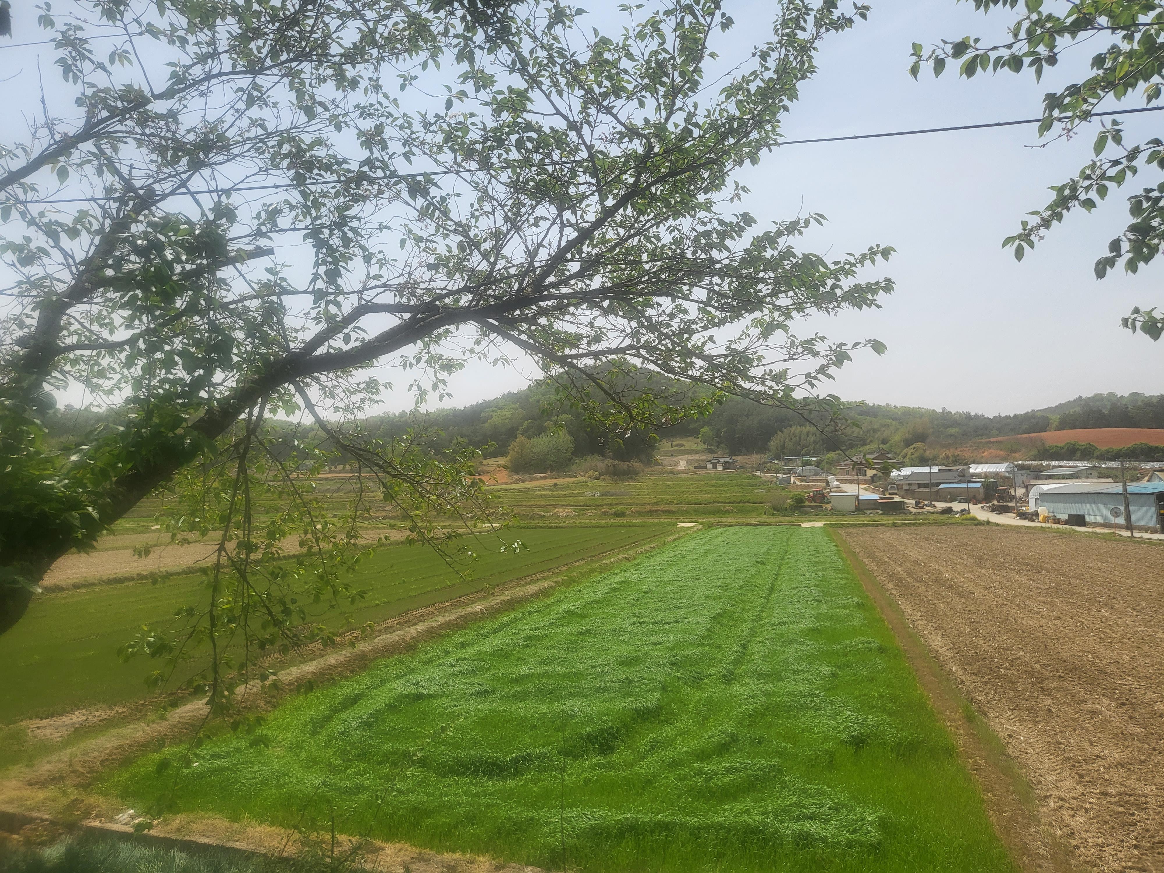 용산리